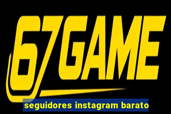 seguidores instagram barato